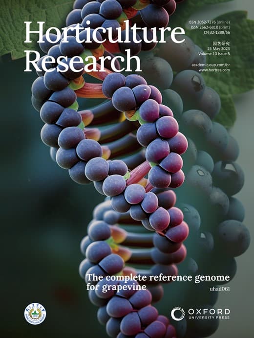 Couverture de l’article sur le génome de référence complet de la vigne (Vitis vinifera), Horticulture Research, 2023